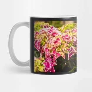 Pink Harlequin Hydrangea Flowers Mug